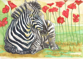 zebra lies in the grass among red poppies on a green background 