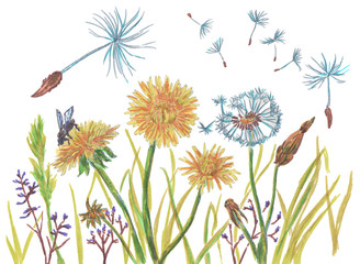 Obraz premium seamless background with dandelions