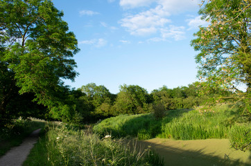 Fototapeta na wymiar Grantham Canal landscape,UK.