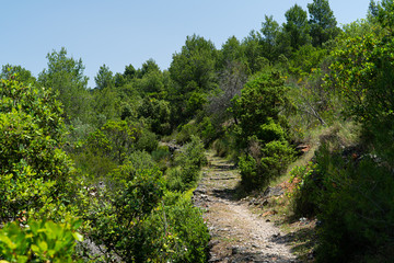 The Island of Hvar