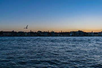 Fototapeta premium Seagull Photobombing A Venetian Sunset