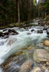 Mountain rver in the deep forest.