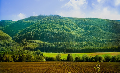 Telemark, g&oacute;ry, las, zachmurzenie, Norwegia, Skandynawia 