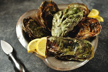 Closed oysters in nickel silver dish with lemon and champagne. Top view.  Copy space. 