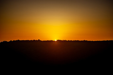Sunrise over the forest on a summer day