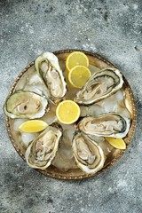 Open fresh oysters with lemon slices on a dish with ice cubes. Top view. 