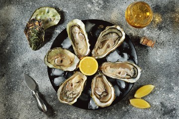 Open fresh oysters with lemon slices on a dish with ice cubes. Top view. 