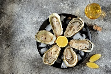 Open fresh oysters with lemon slices on a dish with ice cubes. Top view. 