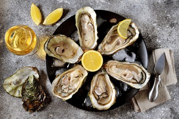 Open fresh oysters with lemon slices on a dish with ice cubes. Top view. 