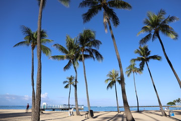Fototapeta premium Hawaje Oahu Waikiki Beach rano