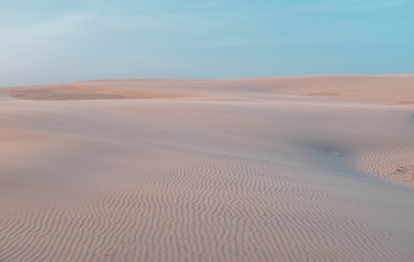 The Danish Desert 