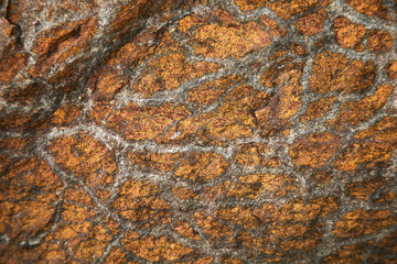Background of sand rock