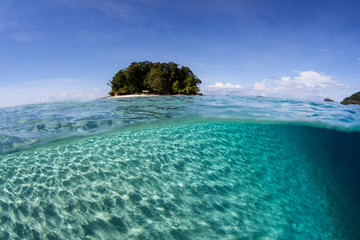 Bright sunlight ripples across the shallow, sandy seafloor in the Solomon Islands. This tropical and remote region is known for its amazing marine biodiversity. © ead72