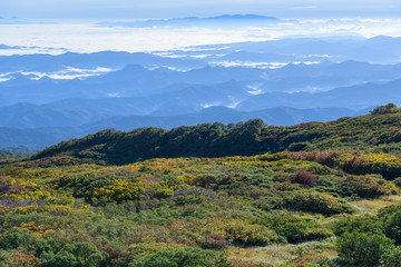 祓川から鳥海山に向かう登山道から見た朝の展望