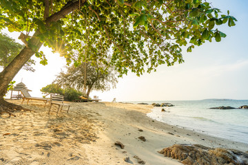 summer vacation relaxing time on paradise beach with sunlight through trees 