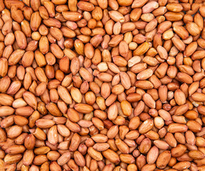 Close up of unpeeled peanuts