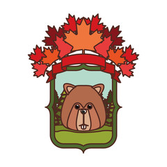 Beaver forest animal of canada design
