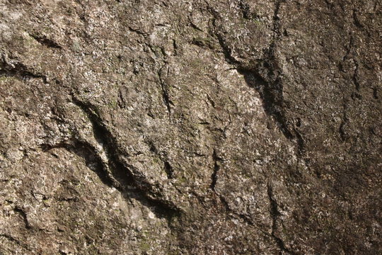 background picure