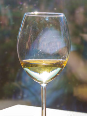 One glass of dry white wine in a cafe on the table.