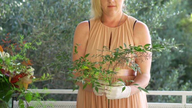 Woman cutting fresh plants for flower bouquet.