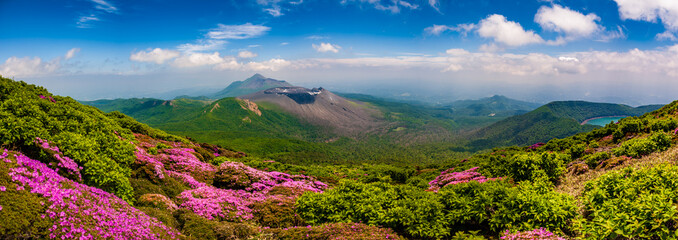 ミヤマキリシマ咲く韓国岳から見る高千穂峰