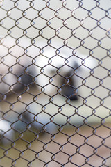 Texture of Tightly Woven Chain Link