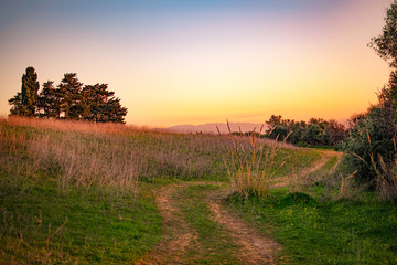 Fototapeta premium sunset over the field