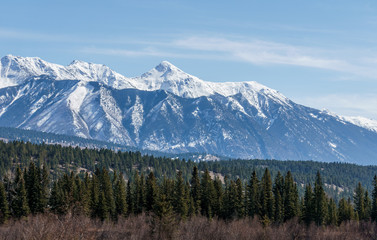 Fototapeta premium Canadian Rockies with snow in British Columbia Canada early spring clear sky.