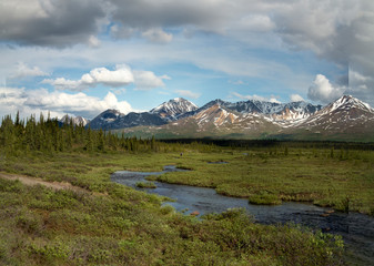 Fototapeta na wymiar winding creek flowing in green grass meadow toward snow capped mountains in Alaska. 