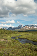 winding creek flowing in green grass meadow toward snow capped mountains in Alaska. 