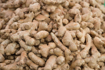 Fresh ginger roots