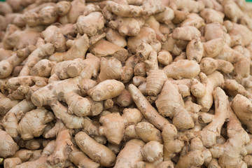 Fototapeta premium Fresh ginger roots