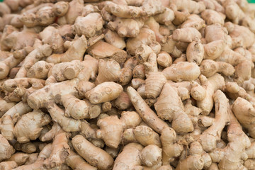 Fresh ginger roots