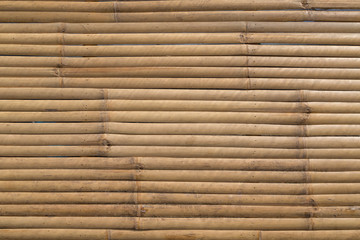 Bamboo panel texture