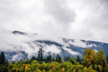 Fog and clouds covering forest and mountains.