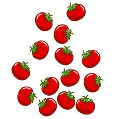 tomato vector graphic design clipart