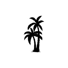 Coconut palm tree icon