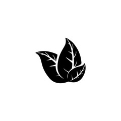 leaf icon isolated on white