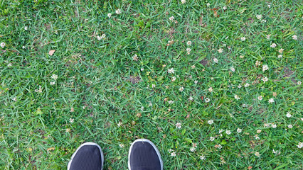 Green grass with tiny white flowers, and the tip of a pair of black shoes. View from top.