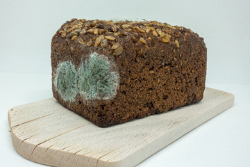 moldy rye bread lies on a wooden board