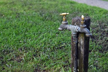 Two headed tap in a field