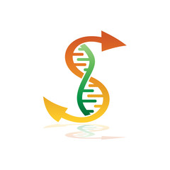 Letter S with DNA Arrow Logo, Initial S Logo, DNA Logo