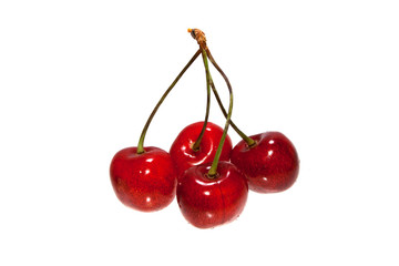 cherry isolated on white background