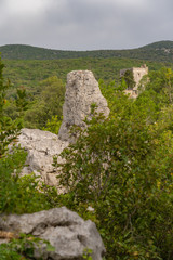 Sauve, France - 06 06 2019: Stone peak on green vegetation in the sea of rocks