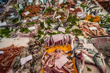 Seafood at La Pescheria fish market in Catania, Sicily, Italy © javarman