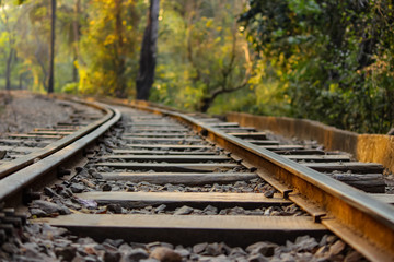 Fototapeta premium Lonley tracks