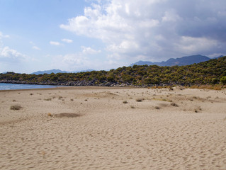 Sandy desert dunes. Southern landscape without water.