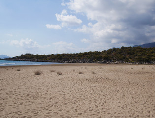 Sandy desert dunes. Southern landscape without water.
