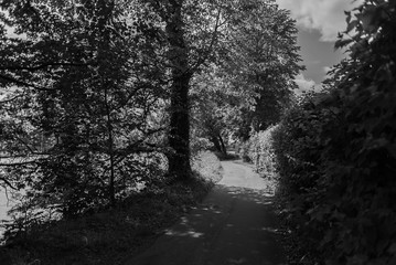 Obraz premium Knoops Park