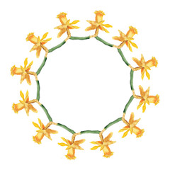 Narcissus flower wreath